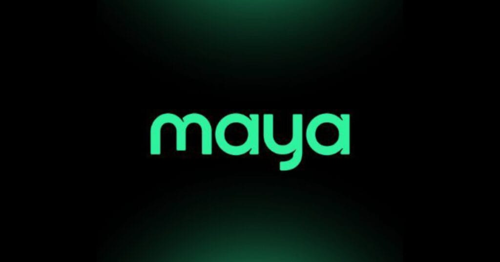 POTS888 Casino Payment Methods: Maya